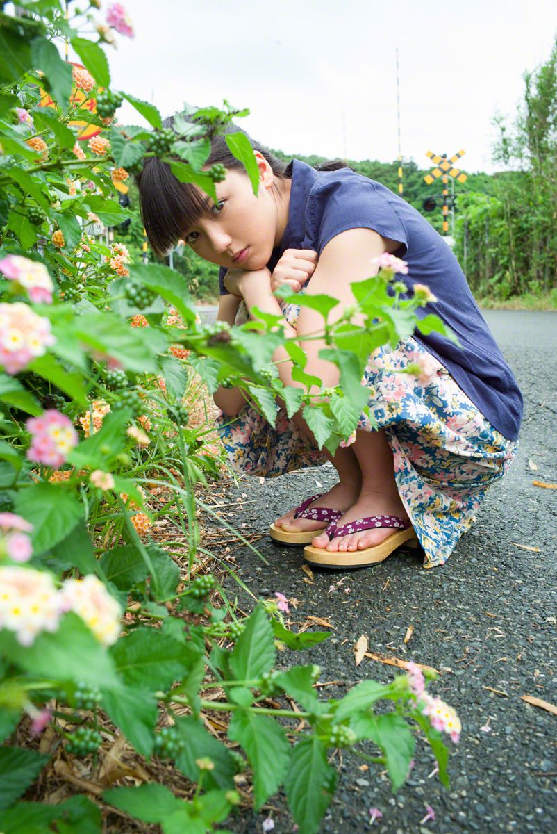 长柳依旧